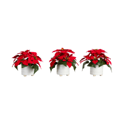 Nearly Natural 8"H Artificial Poinsettia Arrangements With Ceramic Pots, 8"H x 9"W x 9"D, White/Red, Set Of 3 Arrangements