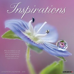 2026 Willow Creek Press Inspirational Monthly Wall Calendar, 12" x 12", Inspirations, January To December, 51566