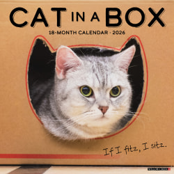 2026 Willow Creek Press Art & Design Monthly Wall Calendar, 12" x 12", Cat in a Box, January To December, 50576