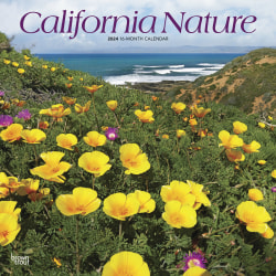 2024 Brown Trout Monthly Square Wall Calendar, 12" x 12", California Nature, January To December