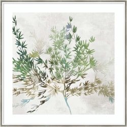 Amanti Art Olive Branch by Asia Jensen Wood Framed Wall Art Print, 33"W x 33"H, White