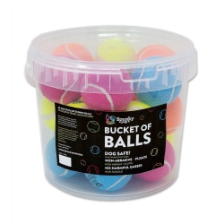 Spunky Pup Bucket Of Tennis Balls, Assorted Colors, Pack Of 20 Tennis Balls