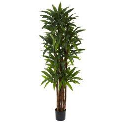 Nearly Natural Dracaena 78"H Plastic Tree With Pot, 78"H x 30"W x 30"D, Green