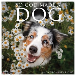 2025 Willow Creek Press Monthly Wall Calendar, 12" x 12", So God Made a Dog, January 2025 to December 2025, 44971