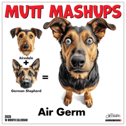 2026 Willow Creek Press Animals Monthly Wall Calendar, 12" x 12", Mutt Mashups, January To December, 55984
