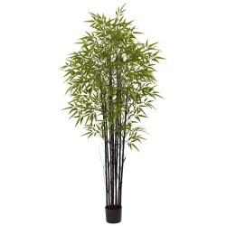 Nearly Natural Black Bamboo 72"H Plastic UV Resistant Indoor/Outdoor Tree With 1,470 Leaves And Pot, 72"H x 34"W x 34"D, Green