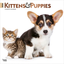 2026 BrownTrout Kittens & Puppies Monthly Plastic-Free Square Wall Calendar, 12" x 12", Cats, January to December 2026, 9798330704101