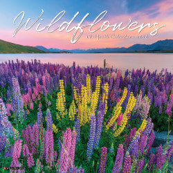 2026 Willow Creek Press Scenic Monthly Wall Calendar, 12" x 12", Wildflowers, January To December, 53294