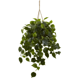 Nearly Natural 3'H Philodendron With Hanging Basket, Green/Brown