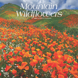 2025 BrownTrout Mountain Wildflowers Monthly Plastic-Free Square Wall Calendar, 12" x 12", America Regional, January to December 2025, 9781975476038