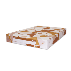 Blazer Glossy Digital Printing Paper, Text, Ledger Size (11" x 17"), 92 (U.S.) Brightness, 80 Lb, 500 Sheets Per Ream, Case Of 3 Reams