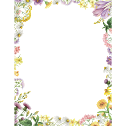 Great Papers! Design Paper, Flower Meadows Stationery Letterhead, 8-1/2" x 11", Multicolor, Pack Of 80 Sheets