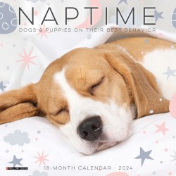 2024 Willow Creek Press Scenic Monthly Mini Wall Calendar, 7" x 7", Naptime Dogs, January To December