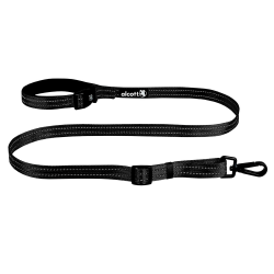 Alcott Nylon Leash, 5’, Black