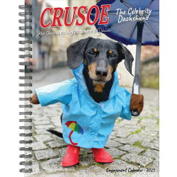 2025 Willow Creek Press Weekly Engagement Planner, 6-1/2" x 8-1/2", Crusoe, January 2025 to December 2025, 46111