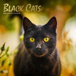 2024 Brown Trout Monthly Square Wall Calendar, 12" x 12", Black Cats, January To December