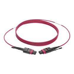 Tripp Lite MTP/MPO Multimode Patch Cable, 12 Fiber, 40/100 GbE, 40/100GBASE-SR4, OM4 Plenum-Rated (F/F), Push/Pull Tab, Magenta, 1 m (3.3 ft.)