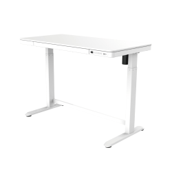 FlexiSpot Comhar 48"W Electric Height-Adjustable Desk, White