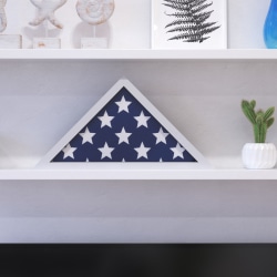 Flash Furniture Sheehan Memorial Flag Display Case, 12-1/2"H x 17-1/2"W x 3"D, White