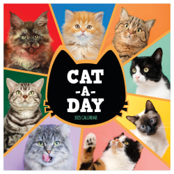 2025 TF Publishing Monthly Wall Calendar, 12" x 12", Cat-A-Day, January 2025 To December 2025