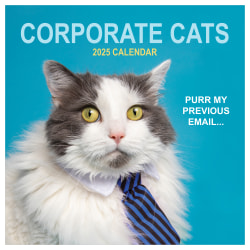 2025 TF Publishing Monthly Wall Calendar, 12" x 12", Corporate Cats, January 2025 To December 2025
