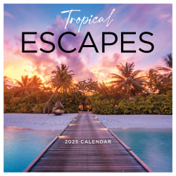 2025 TF Publishing Monthly Wall Calendar, 12" x 12", Tropical Escapes, January 2025 To December 2025