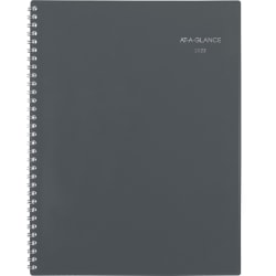 AT-A-GLANCE DayMinder 2023 RY Monthly Planner, Gray, Large, 8 1/2" x 11"