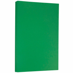 JAM Paper® Legal Color Paper, Holiday Green, Legal (8.5" x 14"), 100 Sheets Per Pack, 24 Lb, 30% Recycled