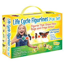 Insect Lore Life Cycle Figurines, Set Of 24 Figurines