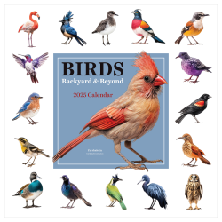 2025 TF Publishing Monthly Wall Calendar, 12" x 12", Birds: Backyard And Beyond, January 2025 To December 2025