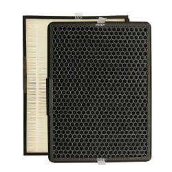 Rowenta Pure Air 2-In-1 Active Carbon And Allergy+ Filter, 2" x 11-1/8"