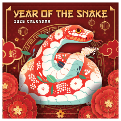 2025 TF Publishing Monthly Wall Calendar, 12" x 12", Year Of The Snake, January 2025 To December 2025
