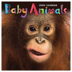 2025 TF Publishing Monthly Mini Wall Calendar, 7" x 7", Baby Animals, January 2025 to December 2025.