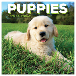 2025 TF Publishing Monthly Mini Wall Calendar, 7" x 7", Puppies, January 2025 to December 2025.