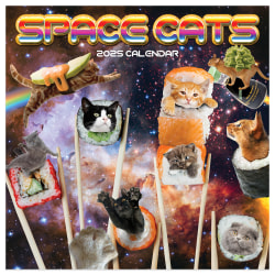 2025 TF Publishing Monthly Mini Wall Calendar, 7" x 7", Space Cats, January 2025 To December 2025