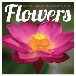 2025 TF Publishing Monthly Mini Wall Calendar, 7" x 7", Flowers, January 2025 To December 2025