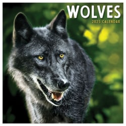 2025 TF Publishing Monthly Mini Wall Calendar, 7" x 7", Wolves, January 2025 to December 2025