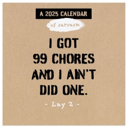 2025 TF Publishing Monthly Mini Wall Calendar, 7" x 7", Anti-Affirmations & Sarcasm, January 2025 To December 2025