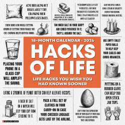 2026 Willow Creek Press Humor & Comics Monthly Wall Calendar, 12" x 12", Hacks of Life, January To December, 51436