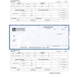Laser Payroll Checks For RealWorld®, 8 1/2" x 11", Box Of 250, CP49, Middle Voucher