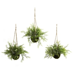 Nearly Natural Ruscus, Sedum & Sprengeri 9"H Artificial Mini Plants With Hanging Baskets, 9"H x 15"W x 15"D, Green, Set Of 3