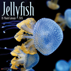 2026 Willow Creek Press Animals Monthly Wall Calendar, 12" x 12", Jellyfish, January To December, 55892