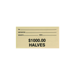 Control Group Self-Adhesive Coin ID Labels, 550004, 2" x 4", Sand, Pack Of 100