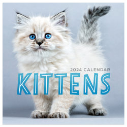 2024 TF Publishing Animals Mini Calendar, 7" x 7", Kittens, January To December 2024 , OD24-2010