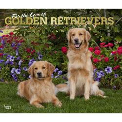2024 BrownTrout Monthly Deluxe Wall Calendar, 14" x 12", For the Love of Golden Retrievers, January to December