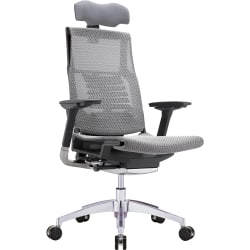 Raynor® Powerfit Ergonomic Mesh High-Back Executive Office Chair, Gray/Black