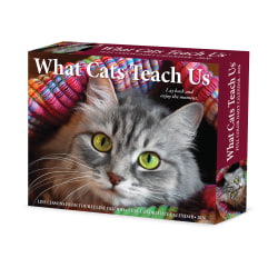 2026 Willow Creek Press Page-A-Day Daily Desk Calendar, 6-1/4" x 5-1/2", What Cats Teach Us, January To December, 54505