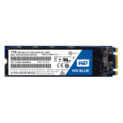 Western Digital Blue™ M.2 2280 Internal SSD, 1TB, Blue