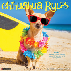 2025 Willow Creek Press Monthly Wall Calendar, 12" x 12", Chihuahua Rules, January 2025 to December 2025, 42311