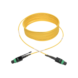 Tripp Lite MTP/MPO (APC) SMF Fiber Patch Cable 12 Fiber QSFP+ 40/100Gbe 7M - Fiber Optic for Network Device, Switch, Hub, Router, Patch Panel - 12.50 GB/s - Patch Cable - 22.97 ft - 1 x MTP/MPO Female Network - - Yellow